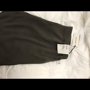 Aritzia dexter pants